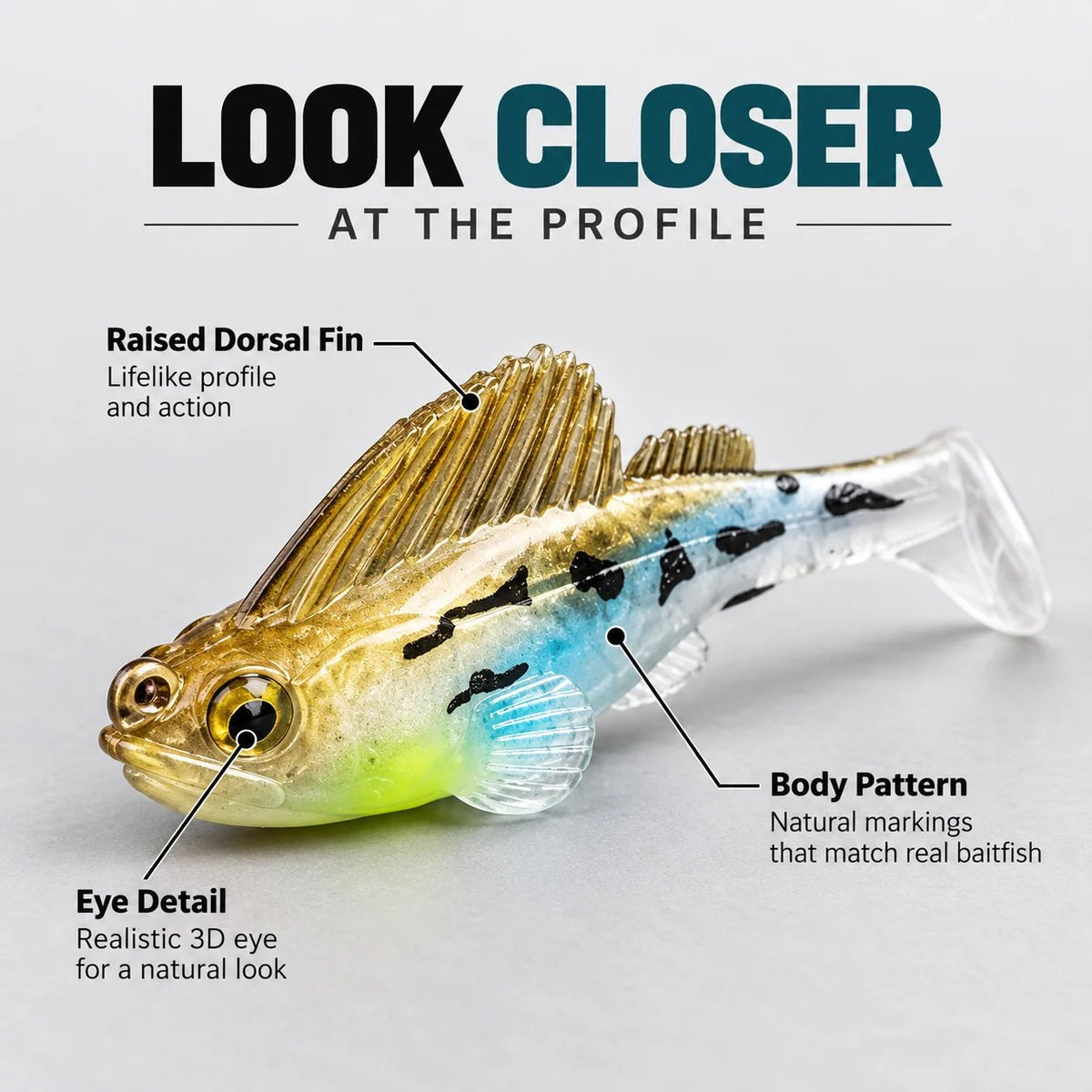 5-Piece T-Tail Soft Lure Set with Box