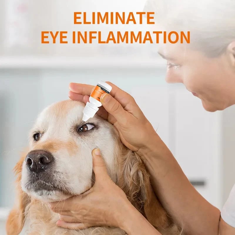 🏆35K+ SOLD 🔥2026 SALE - 🐱🐶Pet Eye Cleaner & Drops – Gentle pH‐balanced formula, safe for dogs & cats. Soothes redness, removes tear stains & daily dirt. No peroxide! 🌿💧