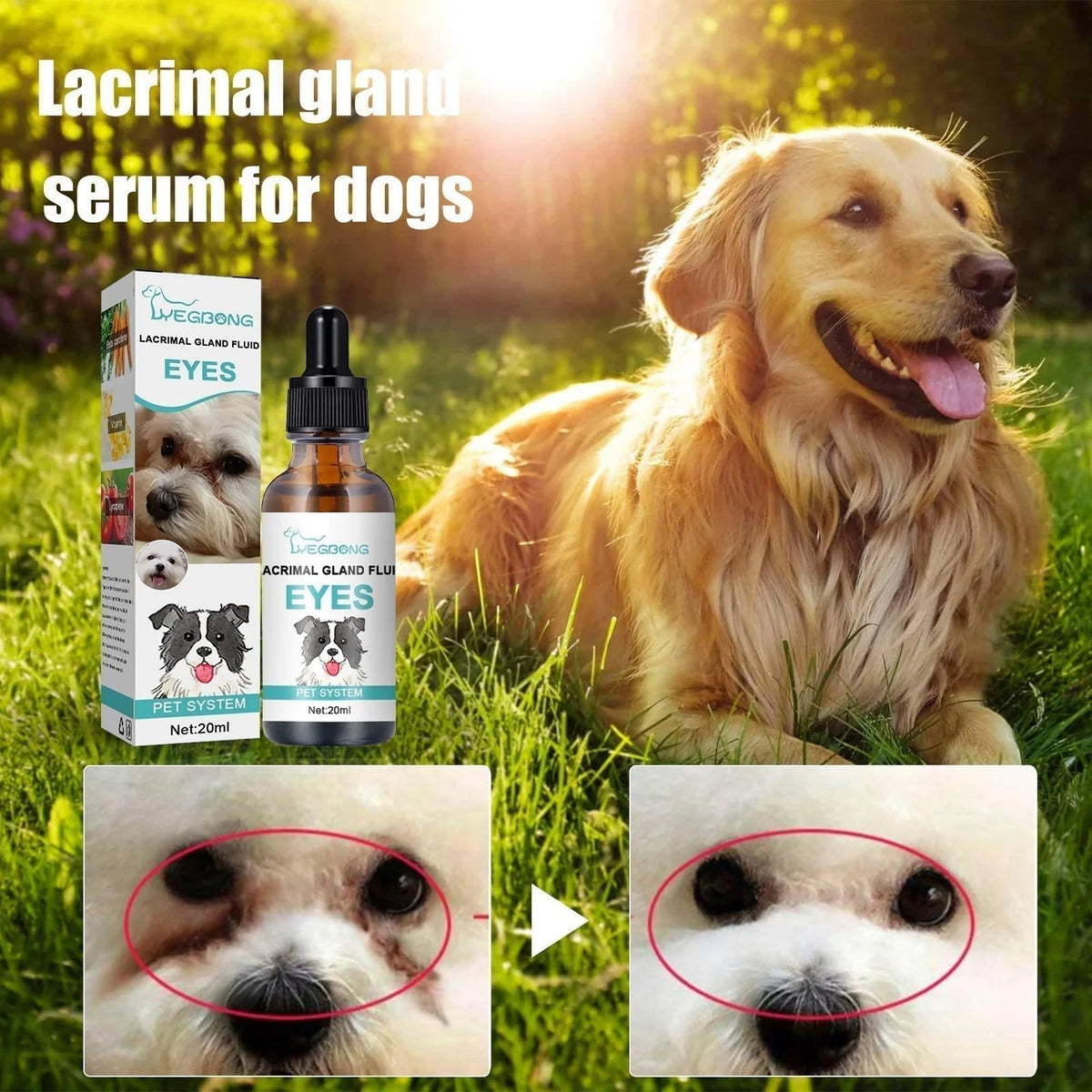 🏆35K+ SOLD 🔥2026 SALE - 🐱🐶Pet Eye Cleaner & Drops – Gentle pH‐balanced formula, safe for dogs & cats. Soothes redness, removes tear stains & daily dirt. No peroxide! 🌿💧