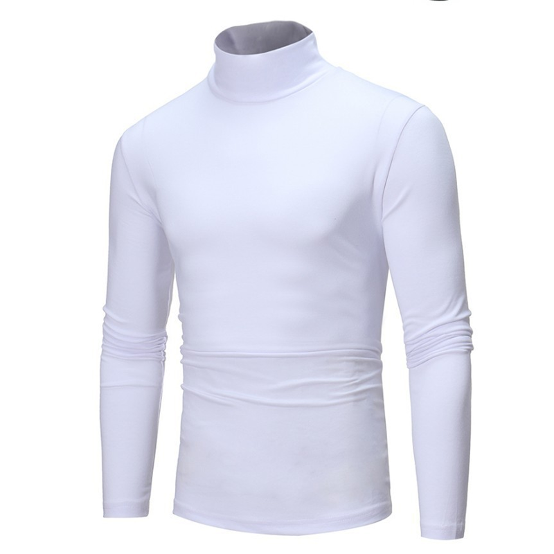 🔥2026 Autumn Special Sale💥Men's Slim Fit Mock Turtleneck Top✨